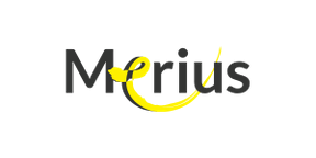 logo merius